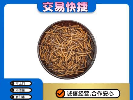 清远市佛冈高价回收散虫草